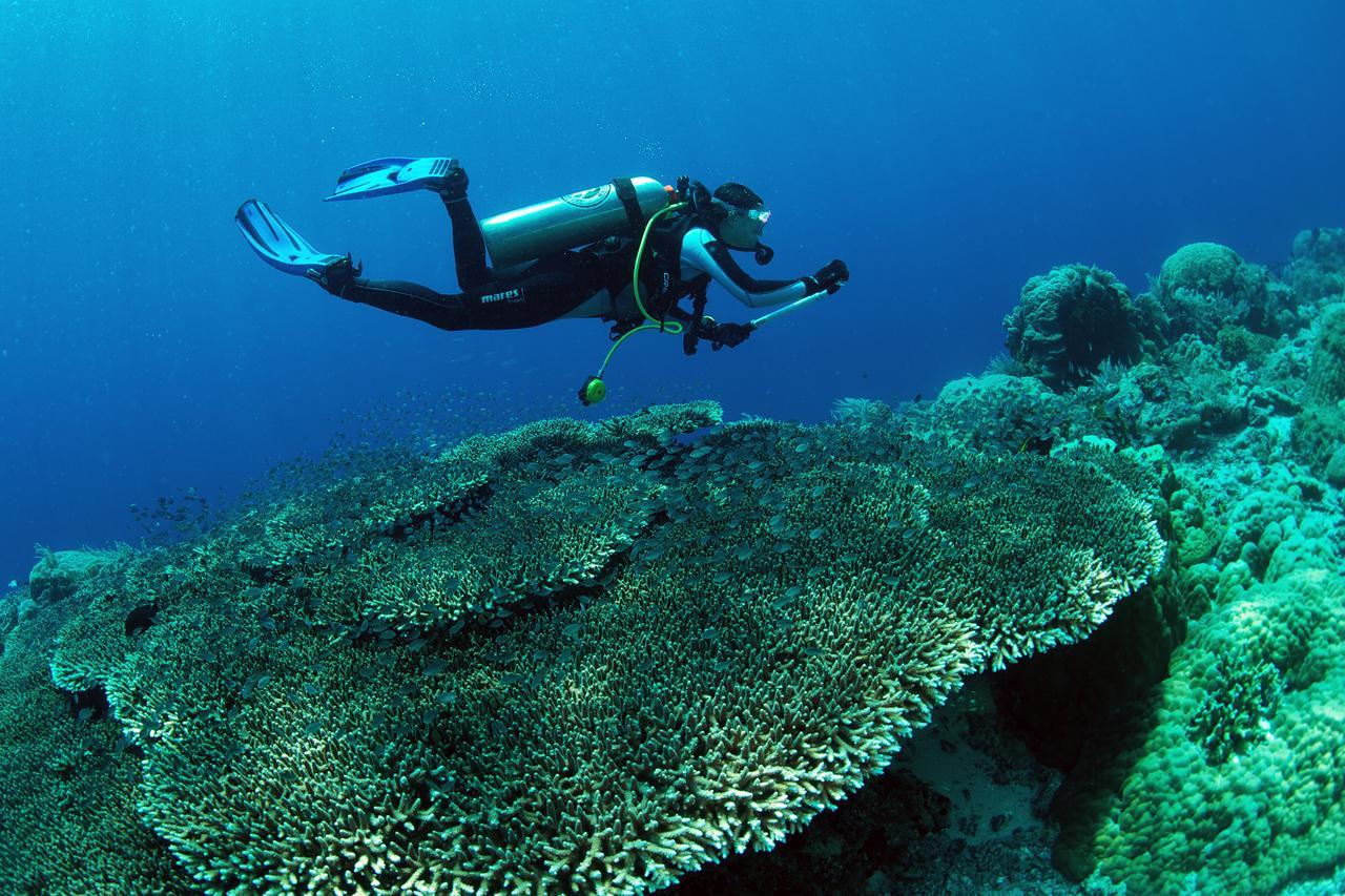 Murex Dive Resort Manado Exterior photo